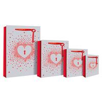 Eurowrap Holographic Heart Bags - Large