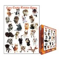 Eurographics Puzzles Cats (1000 pieces)