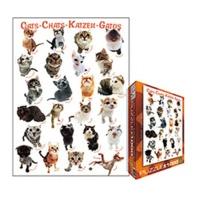 eurographics puzzles cats 1000 pieces