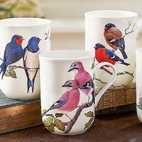 Eurasian Jay Mug