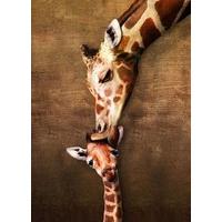 Eurographics Giraffe Mother\'s Kiss MO Puzzle (500 Pieces)