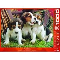 Eurographics Puppies Puzzle (1000 Pieces)