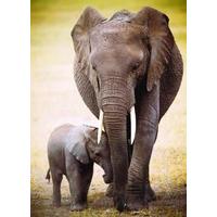 Eurographics EUROPZ-0270 Jigsaw Puzzle 1000 Pieces 19.25 in. X26.5 in. -Elephant And Baby