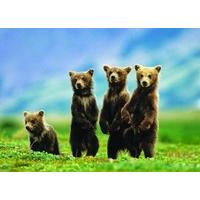 eurographics bear cubs standing puzzle 1000 pieces