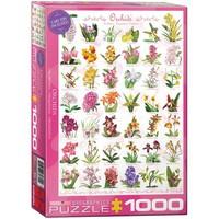 Eurographics Orchids Puzzle (1000 Pieces)