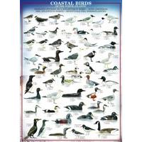 Eurographics Coastal Birds of the North Atlantic Puzzle (1000 Pieces)