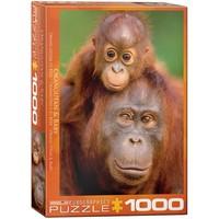 Eurographics Orangutan and Ba by Puzzle (1000 Pieces)