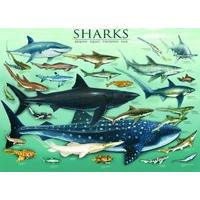 Eurographics Sharks Puzzle (1000 Pieces)