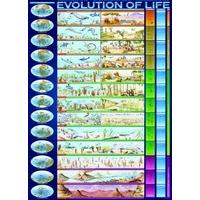 Eurographics Evolution of Life Puzzle (1000 Pieces)