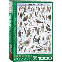 Eurographics Birds of Prey and Owls Puzzle (1000 Pieces)