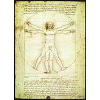 Eurographics Vitruvius Man by Leonardo Da Vinci Puzzle (1000 Pieces)