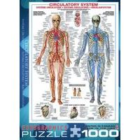 Eurographics Circulatory System Puzzle (1000 Pieces)