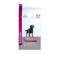 Eukanuba Dry Dog Food Breed Nutrition Labrador Retriever - 12 kg, Chicken