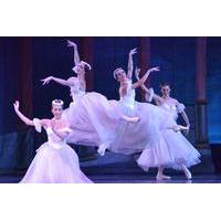 Evening Shore Excursion: St Petersburg Private Theater Tour and Russian Classical Ballet Evening Performance