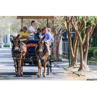 evening carriage tour of downtown charleston