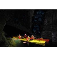 evening glow worm kayak tour in tauranga