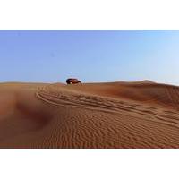 Evening Desert Safari Experience from Dubai