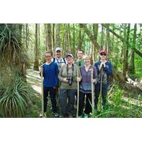 Everglades Walking Tour