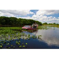 Everglades Airboat and Alligator Tour from Downtown Miami