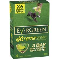 evergreen extreme green 80m2 28kg