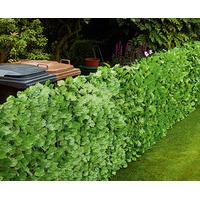 Everlasting Ivy Screens (2 - SAVE £10), Polyester and Plastic