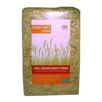 Everyday 100% Golden Barley Straw 4kg (Pack of 2)