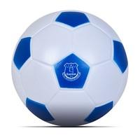 everton 4inch mini football