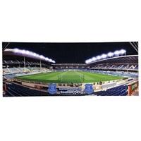 Everton Medium Panoramic Light Up Stadium Canvas