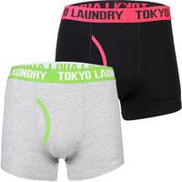 evins 2 pack boxer shorts set in virdian green purple tokyo laundry