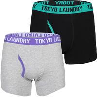 Evins (2 Pack) Boxer Shorts Set in Pink / Laundered Green  Tokyo Laundry