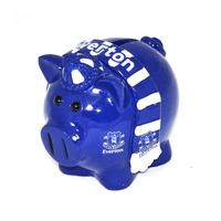 Everton Small Scarf Piggy Bank