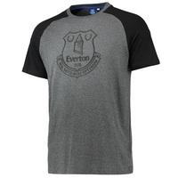 Everton Essentials Raglan T-Shirt - Grey Marl/Black, Black