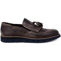 Eveet TUFFATO- MALINDI FANGO men\'s Loafers / Casual Shoes in multicolour