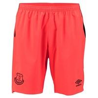 Everton Goalkeeper Home Short 2017/18, Green