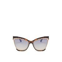 Evie Brown Tortoise Shell Detail Gold Frame Sunglasses