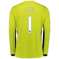 Everton Goalkeeper Home Shirt 2016/17 - Junior with Joel 1 printing, Green