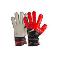 evoPOWER Protect 1.3 RC Goalkeepers Gloves