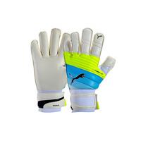 evoPOWER Grip 2.3 GC Goalkeeper Gloves