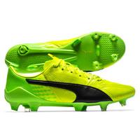 evoSPEED 17 SL Leather FG Footba...