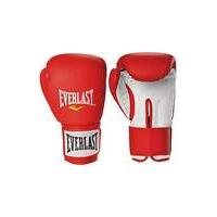 Everlast 14oz Boxing Gloves.