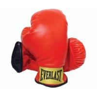 Everlast 3003 Youth Boxing Gloves