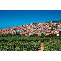 Experience Daily Life in the Village of Arhanes