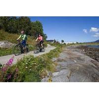 Explore Tromso by E-bike - Guided Ride on Electric Bike in Tromso