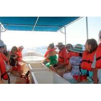 explore los cabos day tour city sightseeing glass bottom boat ride lun ...