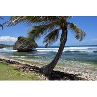 Explore and Discover Barbados Tour with Boat Cruise