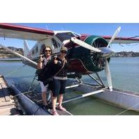 Explore Marin County: Private Sausalito, Muir Woods and Seaplane Tour from San Francisco