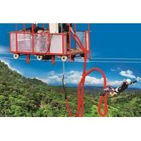 Extreme Bungee Jumping in Monteverde