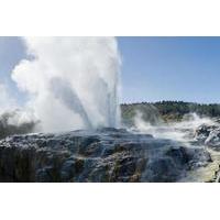 exciting rotorua day trip from auckland