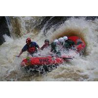 Extreme Wairoa River Grade 5 Rafting