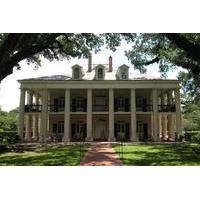 Experience Cajun Country: Swamp Boat Adventure and Plantations Full-Day Tour from New Orleans